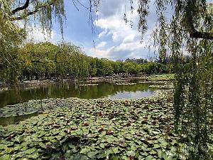 Kunming - Parc Cuihu - 55